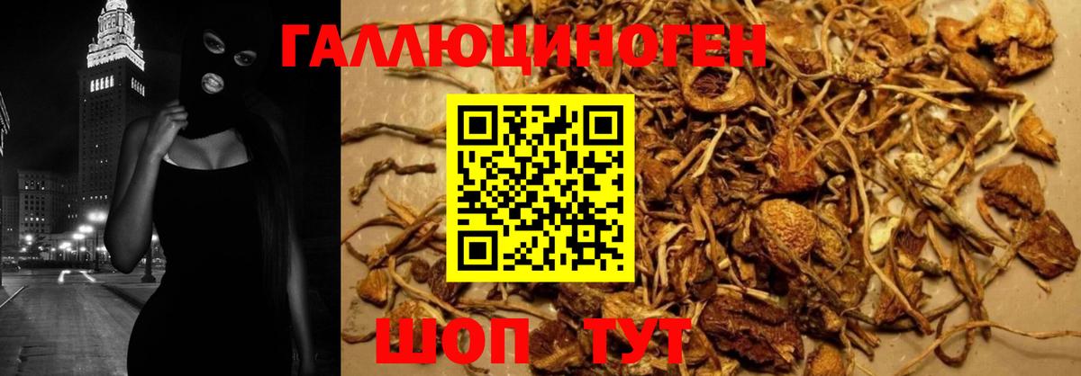 Сокол  Галлюциногенные грибы Psilocybine cubensis  Вход с VPN  Псилоцибиновые грибы MAGIC MUSHROOMS 
